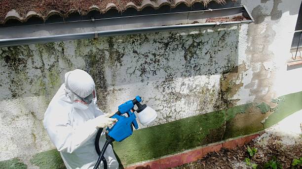 Top rated local Attic Mold Remediation specialists in Elysburg, PA